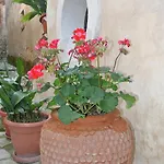 Casa Antonia