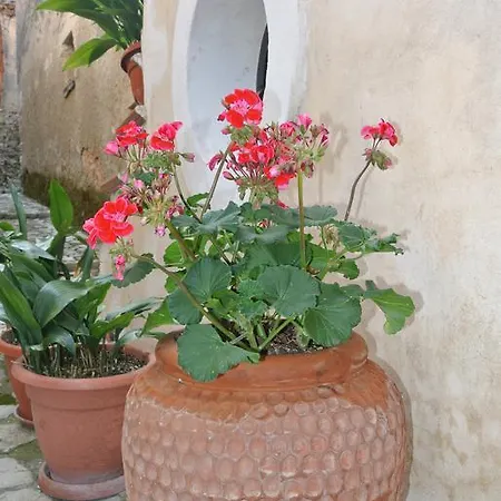 Casa Antonia